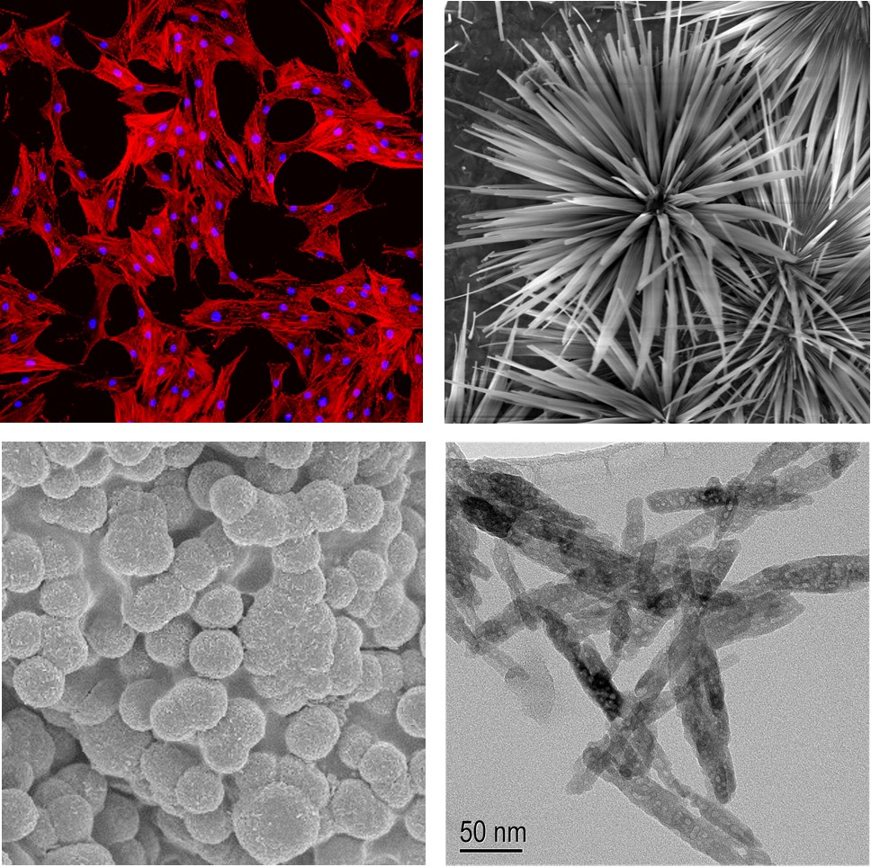 Research – Li Lab @ CUHK BME